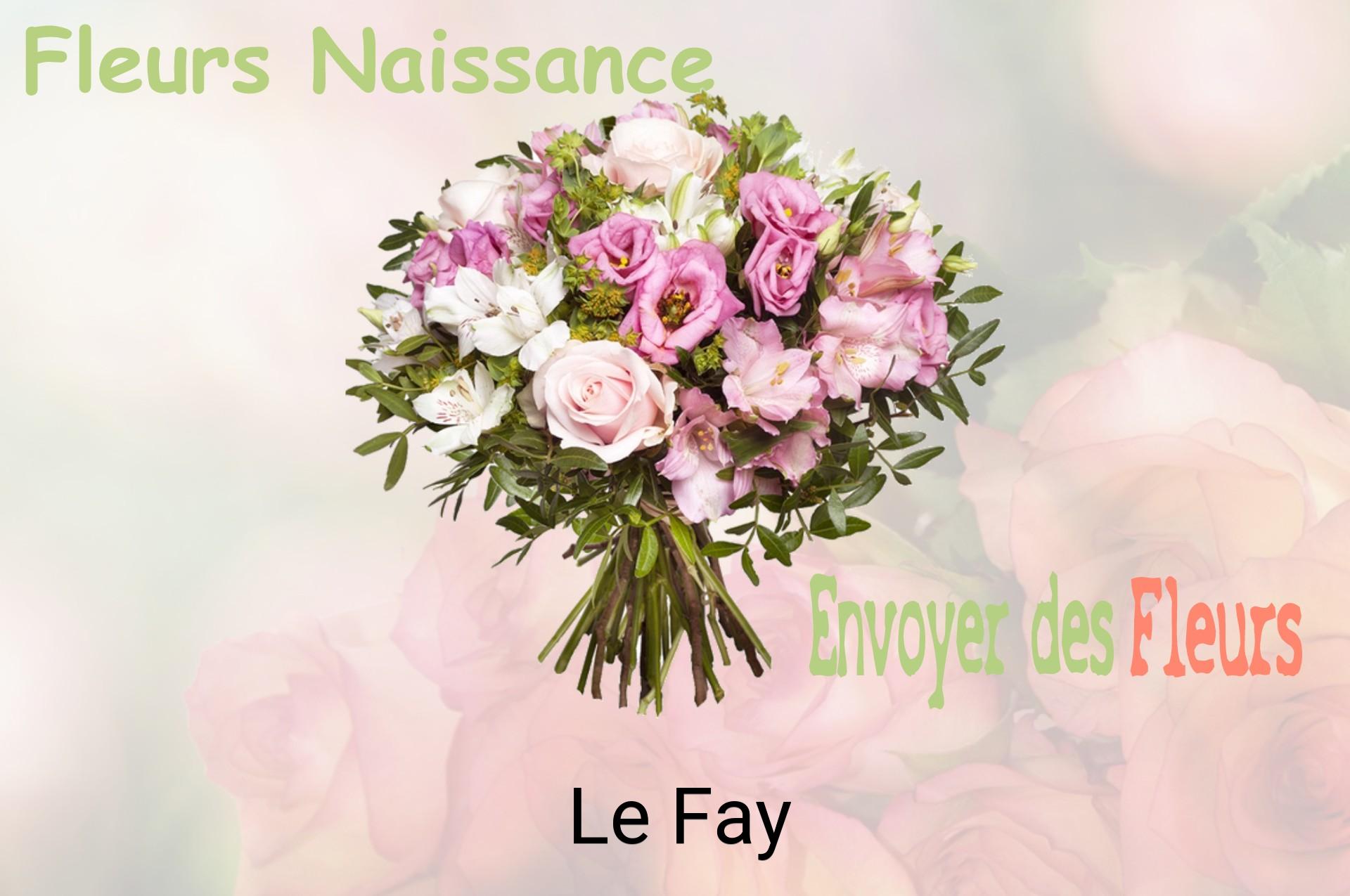 Bouquet de fleurs de naissance livré à Le Fay